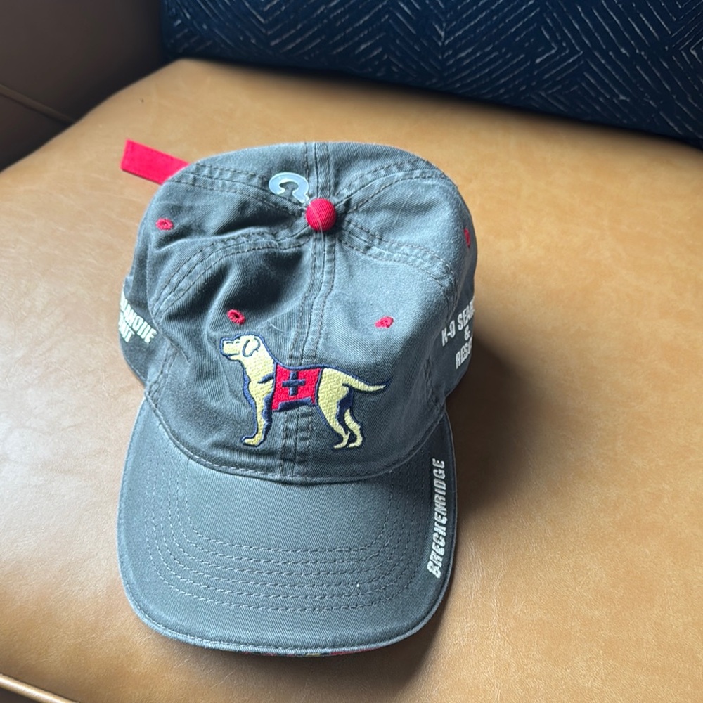 The Game Gray and Red Embroidered Hat